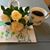 Dody Mitchell Nettles's profile image