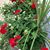Susan G. Smith's profile image