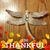 Tina Shehan's profile image