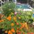 Becky Drinnon-Schickel's profile image