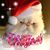 Laura Johnson's profile image