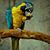 Mehr Un Nisa's profile image