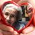 Angel Stevens's profile image