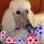 Linda Labelle's profile image