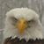 Deb Ovall's profile image