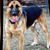 Jackie Craven Faulk's profile image