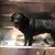 Nicole Bure's profile image