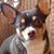 Dina Villa's profile image