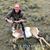 Stella Wohlers's profile image