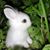 Linda Gray Takeuchi's profile image