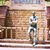 Alok Singh's profile image