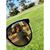 Moises Cuevas's profile image