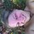 Kate Halliday's profile image
