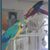 Val Cote's profile image