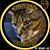 John Towle's profile image