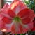 Vicki-Jon Gaulrapp's profile image