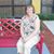 Nylene Bellei Wilson's profile image