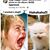 Tammy Taurianen Beckley's profile image