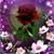Kountrigurl Gean's profile image