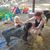Sheri Neu's profile image
