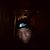 Johnson Rodney's profile image