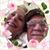 Kathleen Deslandes's profile image