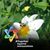 Joan Lussky's profile image