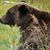 Jan Claggett's profile image
