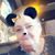 Teenie Cohen's profile image
