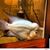 Ilag Marven's profile image
