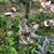 Jan M. Patschke-Smith's profile image