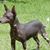 Barbara Ann Stephenson Underwood's profile image