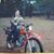 Al Smith's profile image