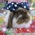 Melissa Sue Longcore's profile image