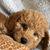 Bruce Smith's profile image