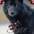 Carolyn Jensen's profile image