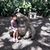 Liliana Montalvo's profile image