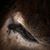Wendy Dianna Crowder's profile image