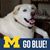 Diana Jobe's profile image