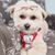 Darci Henke Christoferson's profile image