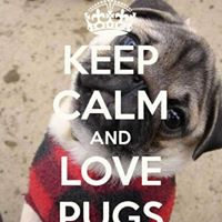 Lisa K Swansey's profile image