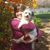 Lynn Carter's profile image