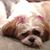 Gilda R.'s profile image