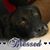 Brenda Benthal's profile image