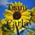 Carolyn Basinger's profile image