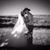 Brianna Auker's profile image