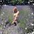 Regina Blefgen Cuffaro's profile image