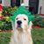 Sherry Mlagan Hernandez's profile image