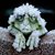 Ruth M Flynn's profile image