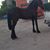 Alejandro Garcia's profile image